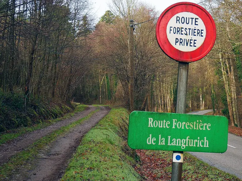 Route Forestiere gesperrt