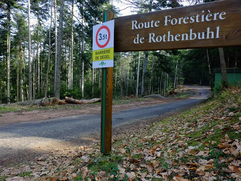 Route Forestiere offen